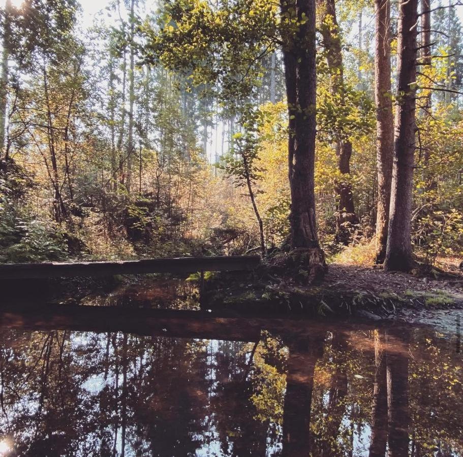 Ferienwohnungen Holzferienhaeuser Leithenwald Цвизель Экстерьер фото